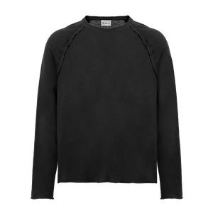 Retro Future Raglan Longsleeve Aged Black